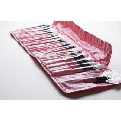 مجموعة فرش مكياج 